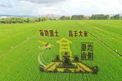 集贤县 推动文旅产业融合 塑造农业观光新样板