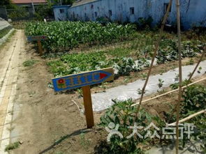 上庄翠湖游观光农业园附近商户
